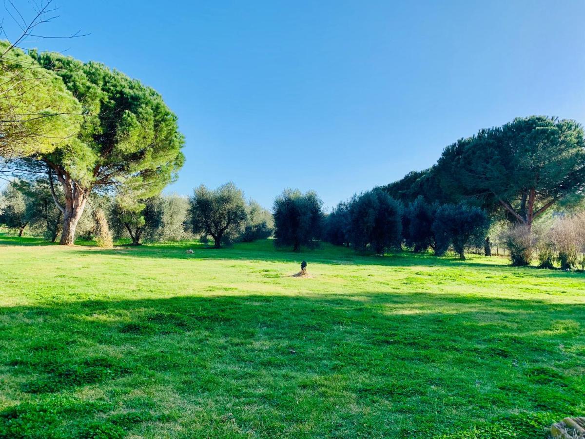 Il Borghetto Di Ansedonia Apartment ภายนอก รูปภาพ