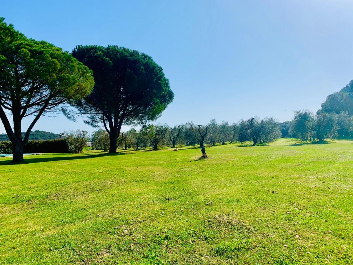 Il Borghetto Di Ansedonia Apartment ภายนอก รูปภาพ