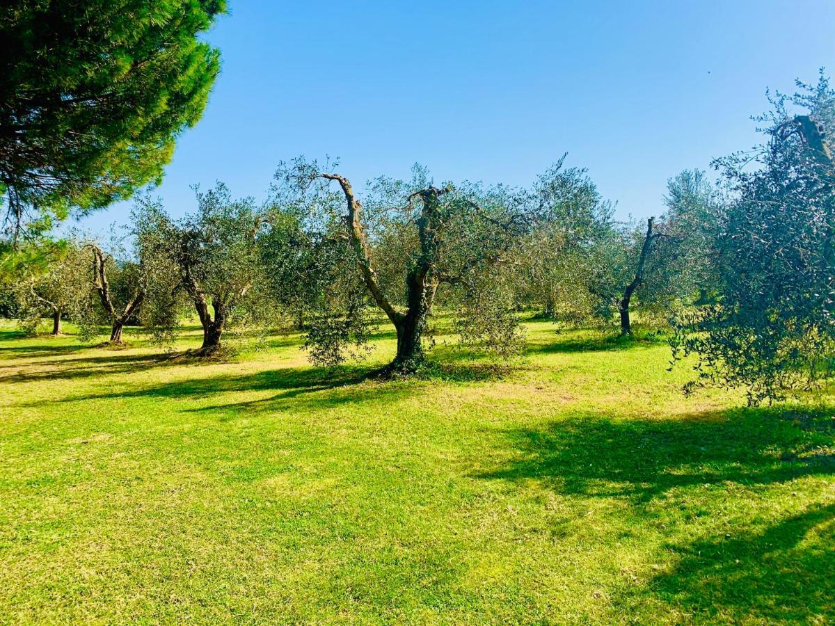 Il Borghetto Di Ansedonia Apartment ภายนอก รูปภาพ