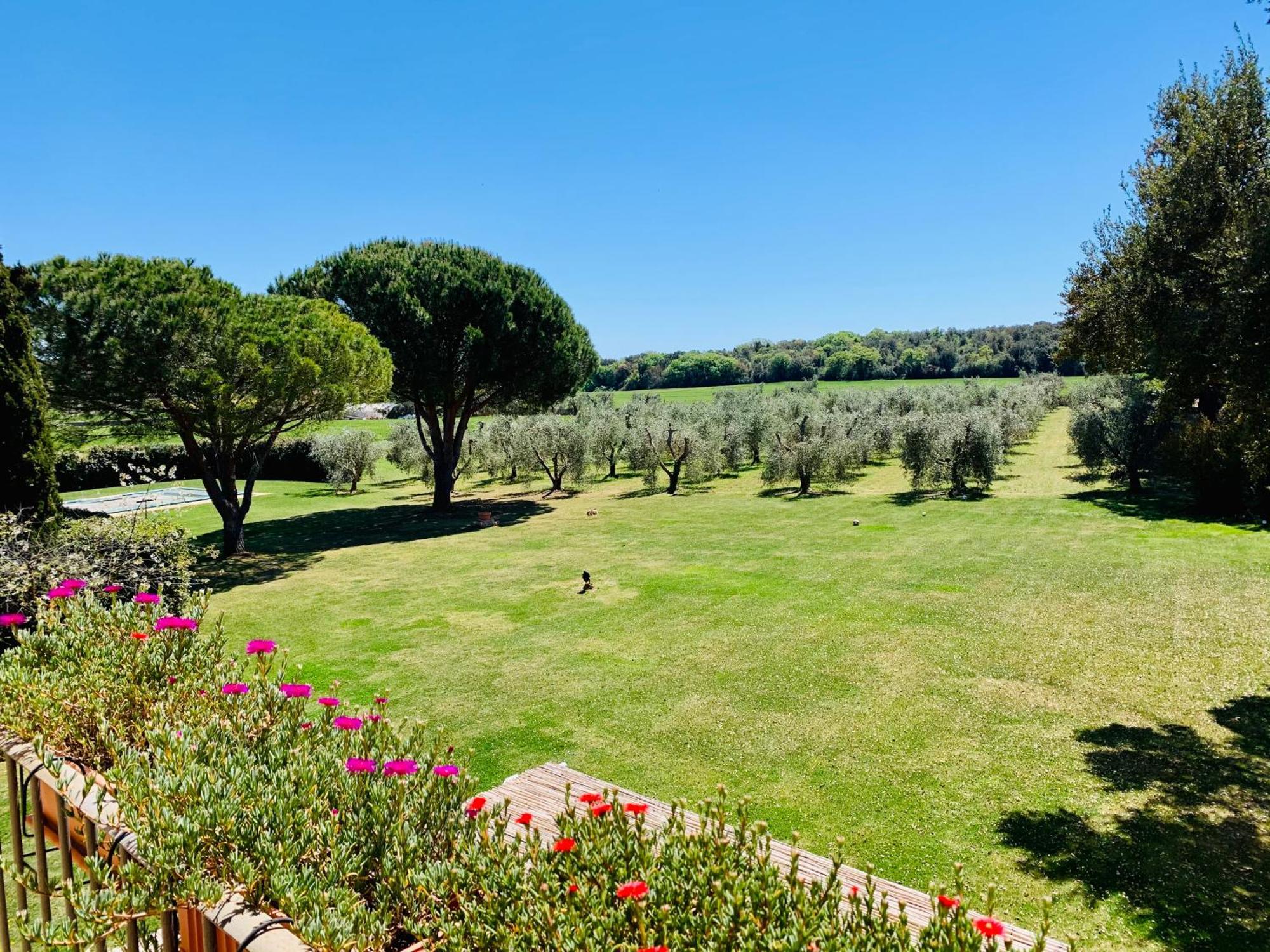 Il Borghetto Di Ansedonia Apartment ภายนอก รูปภาพ