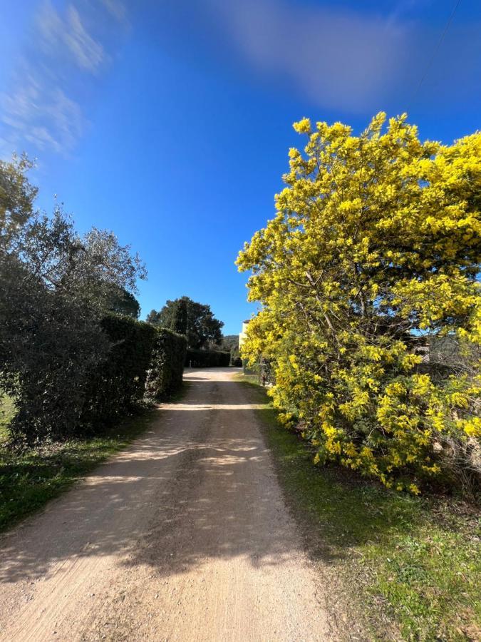 Il Borghetto Di Ansedonia Apartment ภายนอก รูปภาพ