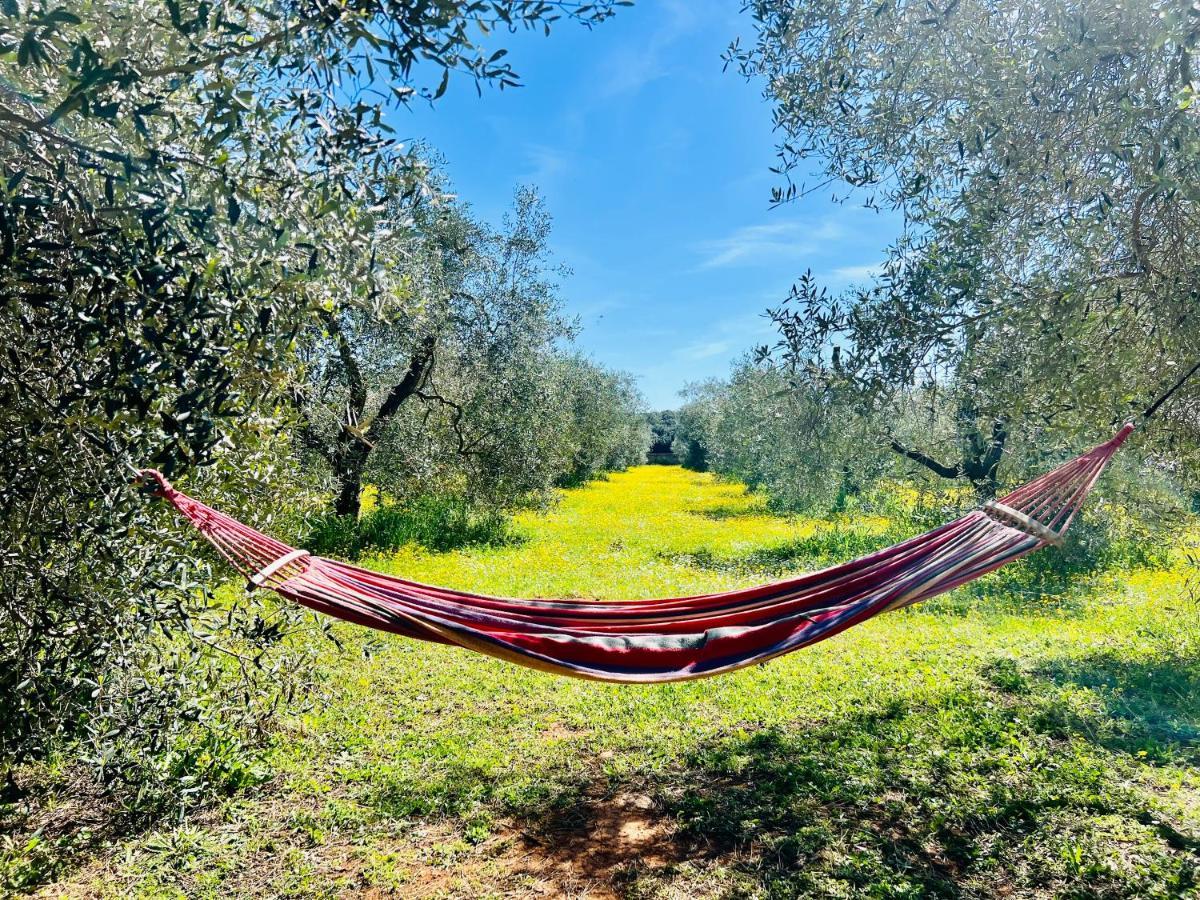 Il Borghetto Di Ansedonia Apartment ภายนอก รูปภาพ